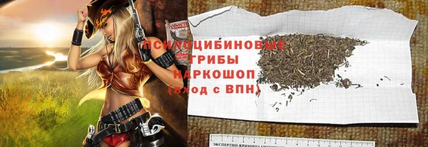 амф Арсеньев